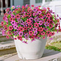 Artificial Flowers for Outdoors, 12 Bundles Multicolor Faux Silk Flower Spring Summer Decoration, Artificial Plants Fake Outdoor Flowers UV Resistant No Fade for Home Planter Porch Patio Yard Decor