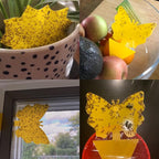 60 Pack Fruit Fly Trap for Indoors, Gnat Traps for House Indoor Gnat Killer, House Plant Gnats Bugs Sticky Killer Fruit Fly Traps for Indoor