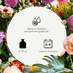 Apotheke Luxury Scented Oil Reed Diffuser Liquid Refill (Hinoki Lavender) - Premium Home Fragrance Diffuser Refill Set with Sticks