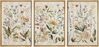 MUDECOR Framed Wall Art Print Set Blooming Wildflowers Illustrations Modern Art Decorative Colorful Chic for Living Room, Bedroom, Office - 16"x24"x3 Natural