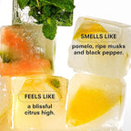 Boy Smells Citrush Candle – Bright Citrus Aroma – Warm Musk Finish – Pomelo Oil – Clean Burning Scented Candle – Long-Lasting Fragrance Throw – Vegan Soy Wax Blend – 8.5oz Glass Jar