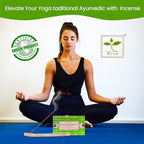 Raajsee Satya Traditional Ayurveda Incense Sticks, Nagchampa 15gmx12 Pack (12 Sets of 15g, 160 Pieces Total) with Raajsee Incense Holder