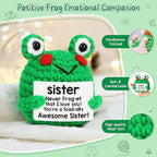LEJIAJINW Funny Handmade Frog Gifts for Sister Christmas, Best Sister Christmas Birthday Gift, from Brother/Sister, Inspirational Encouragement Frog for Women Friends Bestie, I Love You, Just Because