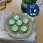 PartyLite Tea Lights Candles, Sweet Ripe Melon Scent, Gift Set of 12, Aromatherapy with up to 4 to 6 Hours Burn Time, Ideal for Home Decor, Holiday Gifting & Celebration