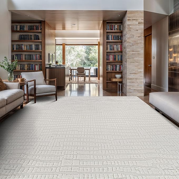 Modern Micro Loop Indoor Area Rugs for Living Room Bedroom Kitchen Geometric Pebble White 6x9 Luxury Durable Low and High Pile Non-Shedding Stain Resistant Soft Area Carpet 6 x 9