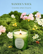 M&SENSE Sage Citrus Soy Candle, Cracking Wooden Wick 18oz 100 Hours Long Lasting Clean Burn, Large Jar Winter Aromatherapy Candle for Home Decor, Non-Toxic Relaxing Gifts for Women