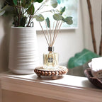 HomeWorx by SLATKIN + CO. White Birch Reed Stick Diffuser
