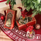 COCODOR Christmas Reed Diffuser Set / 6.7oz / Snow Fig/Holiday Scented Oil with Sticks, Festive Home Fragrance Gift for Xmas & Winter Décor