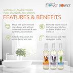 Natural Flower Power Air Freshener Spray - Odor Eliminator with Essential Oils for Home, Car & Fabric - Cruelty Free & Vegan - Variety Pack - Citrus & Spice + Lavender + Lemongrass - 3 x 4 fl oz