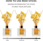 Reed Diffuser Set - 3.38 fl oz Tropical Fruit Premium Scented Oil with Preserved Baby's Breath & Cotton 6 Sticks | Long-Lasting Aromatherapy for Home, Bedroom, Bathroom, Office Home Decor