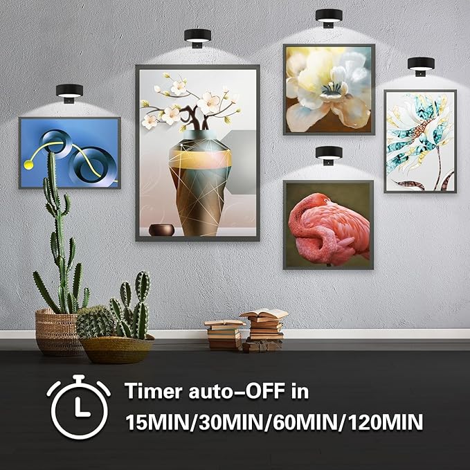 Wall Mounted Picture Light, Magnetic Poster Light, 13 Types of RGB, Remote Dimming Timer, Art Display Wall Mounted Decorative Light