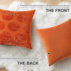 decorUhome Decorative Rust Pumpkin Thanksgiving Throw Pillow Covers 18x18 Set of 2, Soft Chenille Jacquard Farmhouse Textured Pillow Covers for Couch Bed Sofa Autumn Harvest Halloween Holiday