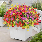 12 Bundles Artificial Flowers,Faux Plants for Spring Summer Decoration, UV Resistant Colorful Violets Eucalyptus for Outside Home Planter Porch Patio Yard Decor