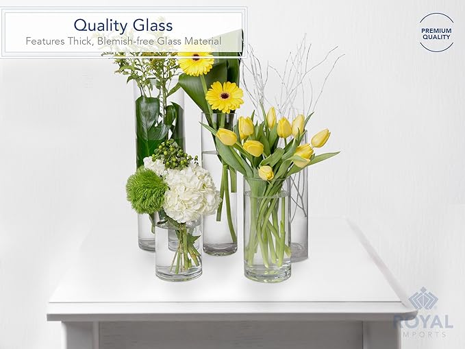 Royal Imports Flower Glass Vase Decorative Centerpiece for Home or Wedding - Cylinder Shape (4" Wide x 4" Tall, Clear)