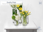 Royal Imports Flower Glass Vase Decorative Centerpiece for Home or Wedding - Cylinder Shape, 6" Tall, 6" Opening, Clear