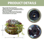 Incense Burner with Calabash Incense Stick Holder - Porcelain Charcoal Censer for Use with Resin Granular Powder Cone or Coil Incense (Fambe Green)