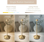 Arrrow LED Cordless USB-C Re-Chargeable Desk Lamp, 5200mAh Battery Operated with 3 Color Temperature 2700K-3000K-3500K and Fingertip Touch On/Off Plus Dimming in Satin Brass