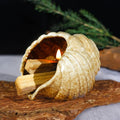 Mini Conch Chiminea Palo Santo Burner - Ceramic Smudging Bowl/Incense Chimney Works with Palo Santo Sticks/Sage/Copal,Tabletop Altar, Thoughtful Gifts for Meditation, Yoga, Aromatherapy