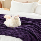 Bedsure GentleSoft Twin Blanket for Bed - Super Soft Cozy Blankets for Women Men Girls, Cute Fuzzy Fleece Throws for Bedroom Couch, Purple, 60x80 Inches
