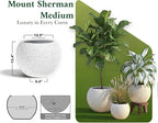 DTY Signature Mount Sherman 12.6''D x 9.8''H Modern Indoor Outdoor Fiberstone Sphere Planter, Durable Round Garden Pot, Weather Resistant, Drainage Hole & Rubber Plug (Ribbed White, Small)