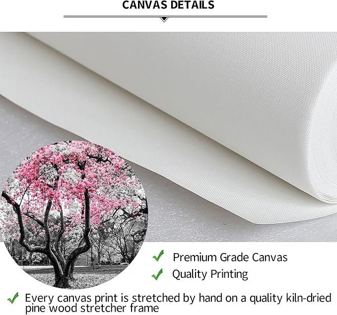 iKNOW FOTO 20x40 Cherry Blossom Trees in Black & White with Pink NYC Park Picture Stretched Canvas Art with Black Floater Frame Nature Landscape Wall Decor Ready to Hang