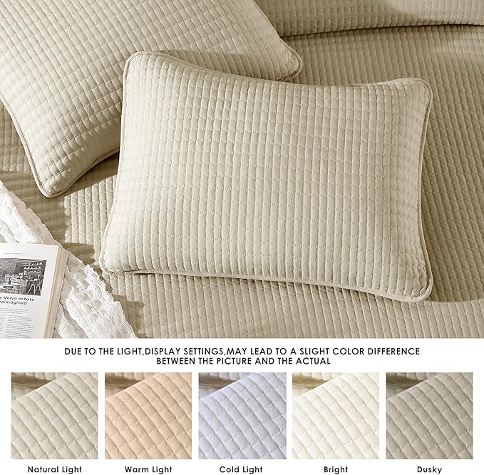WRENSONGE Queen Quilt-3 Pieces Lightweight Bedspreads Beige Queen Size Quilt Bedding Set for All Seasons,Soft Summer Coverlet with 2 Pillow Shams, Couch