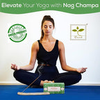 Satya Patchouli Incense Sticks, Satya Bng (Bangalore) Insenses 15gmx12 Pack with Raajsee Incense Holder Bundle, Satya Nagchampa Natural Incense