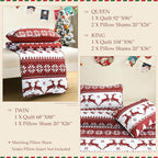 Exclusivo Mezcla Reversible Christmas Quilts Queen Size, Red Bedspread Lightweight Coverlet Winter Quilt Bedding Set with Printed Striped Reindeer Snowflakes Pattern (1 Quilt, 2 Pillow Shams)