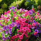Artificial Flowers for Outdoor, UV Resistant Fake Silk Flowers, Realistic Faux Plants for Outside Indoor Porch Patio Window Box Planter Home Decor (14, Yellow Purple Rosy Pink)