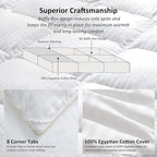 Luxurious All-Season Goose Down Feather Fiber Comforter Duvet Insert, Exquisite California King White Stripe Design, Premium Baffle Box, 100% Cotton Down Proof Fabric, 75 oz. Fill Weight