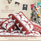 Exclusivo Mezcla Reversible Christmas Quilts Queen Size, Red Bedspread Lightweight Coverlet Winter Quilt Bedding Set with Printed Striped Reindeer Snowflakes Pattern (1 Quilt, 2 Pillow Shams)