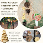 Apple Slices, Dried Apples, Dried Apple Slices, No Added Sugar, Simmer Pot Mix, Potpourri Bowl Filler, Concentrated Apple Flavor & Nutrition, Elevate Cakes, Juice & Home Decor, Fruity Warmth & Sweet Wishes, Resealable Bag, Convenient & Extended Freshness