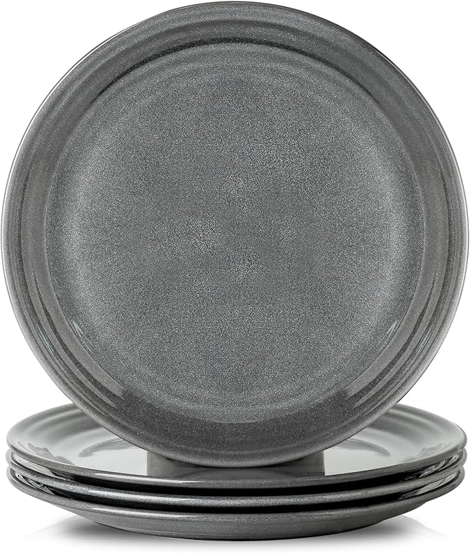 HASENSE Dinner Plates, 10 Inch Ceramic Serving Plates for Kitchen, Modern Round Dishes Set of 4, Scratch Resistant Salad Plates, Dishwasher and Microwave Safe, Grey