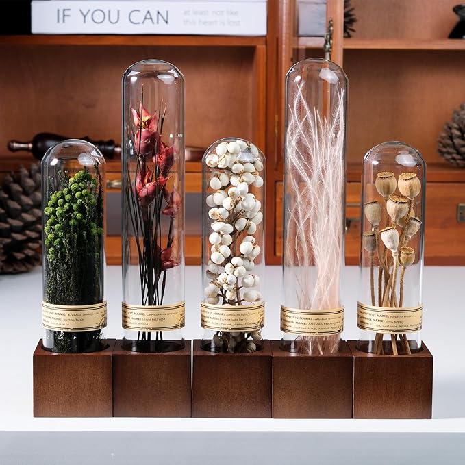 5Pcs Dried Flower Decor,Knick Knacks for Shelves,Cool Stuff for Bookshelf,Small Plants Decor for Office Shelves,Natural Green Plants Boho Shelf Decor,Apothecary Decor,Unique Gifts for Women,Friends