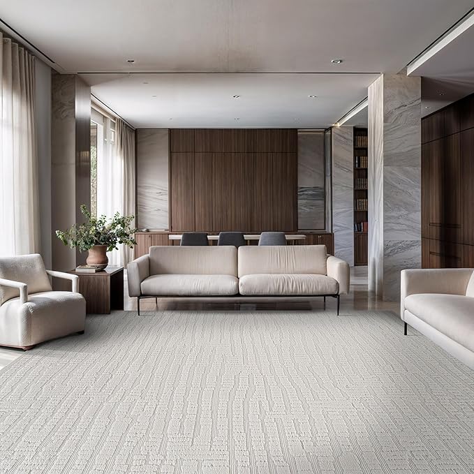 Modern Micro Loop Indoor Area Rugs for Living Room Bedroom Kitchen Geometric Pebble White 8x10 Luxury Durable Low and High Pile Non-Shedding Stain Resistant Soft Area Carpet 8 x 10
