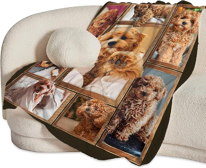 Poodle Blanket for Dog Lover Gifts Cute Poodle Throw Blanket for Girls Boys Women Man Plush Cozy Flannel Fleece Ultra Soft Fuzzy Blankets 80"X60"