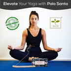 Satya Nag Champa Palo Santo Incense Sticks, Satya Bng (Bangalore) Insenses 15gmx12 Pack with Raajsee Incense Holder Bundle, Nag Champa Natural Incense