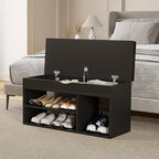 Apicizon Entryway Bench with Shoe Storage, Black, 2-Tier Shoe Rack, Padded Cushion, Wooden Frame