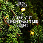 Urban Naturals Balsam Forest Reed Diffuser Oil Set - Real Juniper and Pine Cones – Fragrance Notes of Fraser Fir, Evergreen, Pine, Woodsy Cedar and Sandalwood – Vegan 3.75 Ounces – Made in The USA