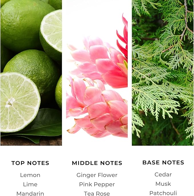Brilliant Scents Golden Serenity Fragrance Oil 120ml - Premium Diffuser Oil for Home, Office, Hotels - Long Lasting, Plant-Based, Meets IFRA Standards, USA-Made - Mandarin, Tea Rose, Musk