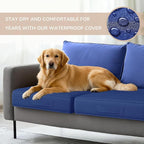 Codi Replacement Couch Cushions 2 Sets, Upholstery Foam with Covers for Sofa Chair Cushion Outdoor Seat - 24 × 24 × 4 Inch, High Density Foam,Navy