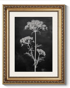 ARPEOTCY Vintage Gold Framed Wall Art Decor, Moody White Flower Picture, Dark Botanical Wall Art for Living Room, Farmhouse Bathroom Decor Aesthetic, Rustic Home Decor, 11x14 Inch