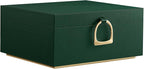 SONGMICS 2-Layer Jewelry Box, Jewelry Organizer with Handle, Removable Jewelry Tray, Jewelry Storage, Floating Effect, 8.1 x 9.4 x 4.3 Inches, Gift Idea, Forest Green UJBC165C01