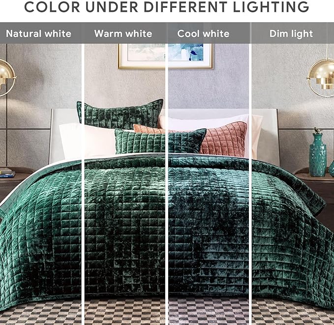 RECYCO Luxury Velvet Quilt Set Full Queen Size Bedding Sets, Ultra Soft Velvet Comforter Set, Lightweight Channel Box Stitch Oversized Bedspread Coverlet for All Season, with 2 Shams, Emerald Green