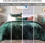 RECYCO Luxury Velvet Quilt Set Full Queen Size Bedding Sets, Ultra Soft Velvet Comforter Set, Lightweight Channel Box Stitch Oversized Bedspread Coverlet for All Season, with 2 Shams, Emerald Green