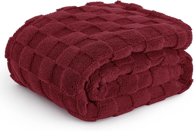 Bedsure GentleSoft Christmas Throw Blanket for Couch - Red Fall Checkered Fleece Red Blankets Gifts for Women Men Girls, Cute Soft Cozy Throw for Bedroom Home Decor Gifts, 50x60 Inches