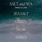 Sweet Water Decor Salt and Sea Reed Diffuser Set for Home - Sea Salt, Citrus, Musk, Amber Scented Reed Diffusers for Summer - Air Freshsner Lasts 4+ Months, Made in the USA