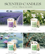 AOOVOO Calm Candles Set for Women - 4 Pack Candles for Home Scented, 28 oz 200 Hour Burn, Aromatherapy Candle with Crystals, Lavender Calm/Jasmine Serenity/Water Lily Pear Harmony/Patchouli Balance