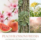 HomeLights Scented Candles | Large Jar 34 Oz Natural Soy Candle | 130 hrs Long-Lasting with 3 Wicks | Bohemian Natural for Home Decor | Gifts for Mom & Women, Peach Blossom Freesia
