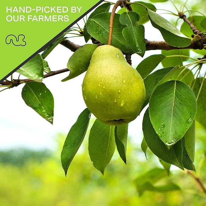 NUT CRAVINGS - Dried California Pears, No Sugar Added, Unsweetened (32oz, 2 LB) Tu Bishvat Favorite - Sweet Healthy Snack, Vegan, Kosher, Resealable Bag